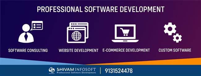Professional Software Development - Software Company In Raipur Chhattisgarh